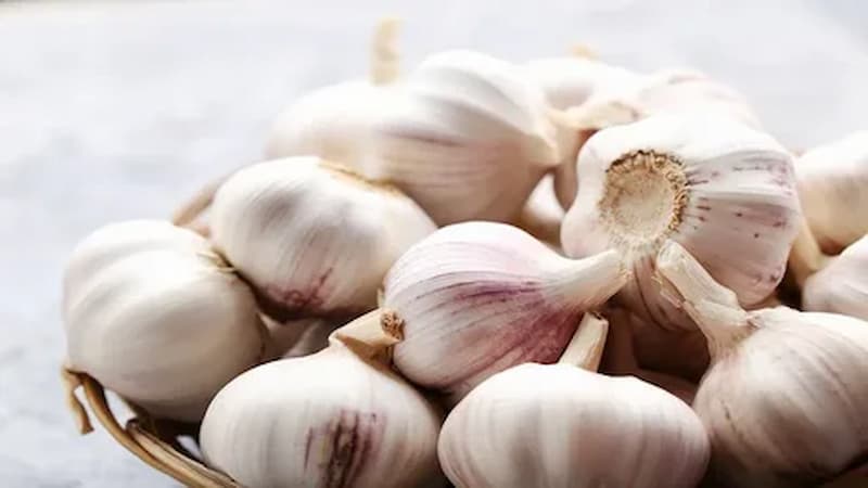 تصویر 4 از سیر فارس ملایم با طعمی نرم و عطری دلپذیر